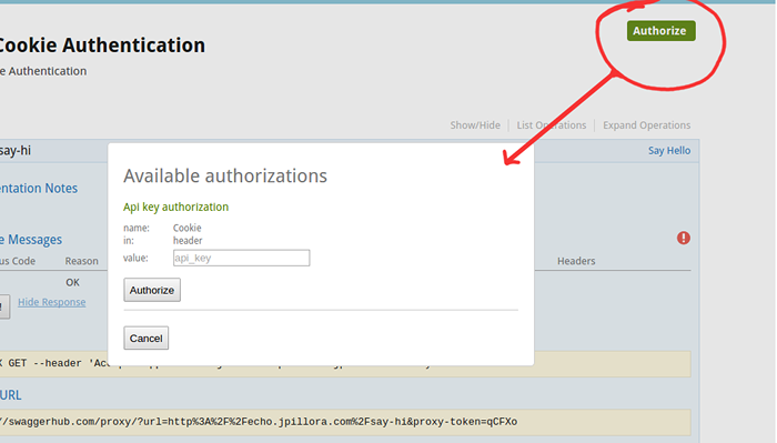 Auth cookie. Base authentication.